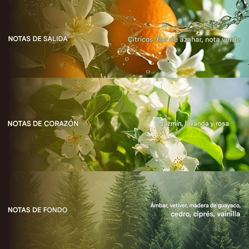 Perfume Duradero – Vainilla, Almizcle y Notas Amaderadas Infinite Love